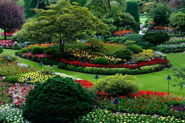 Botanical garden