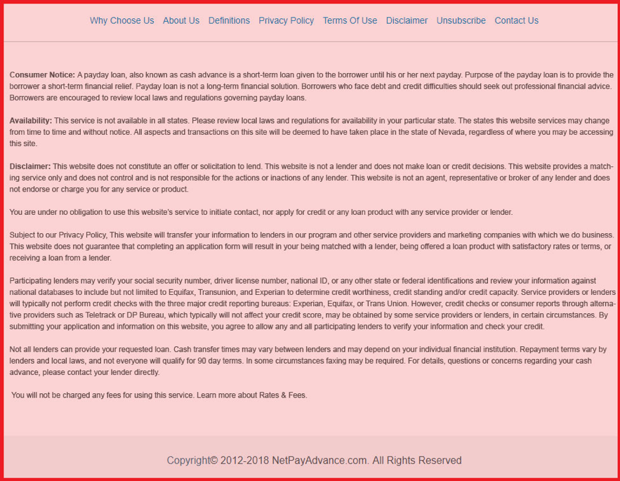 privacy policy of fake Net Pay Advance website