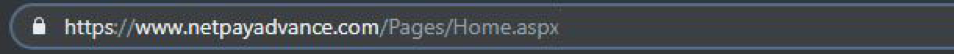 internet browser bar with Net Pay Advance's web address