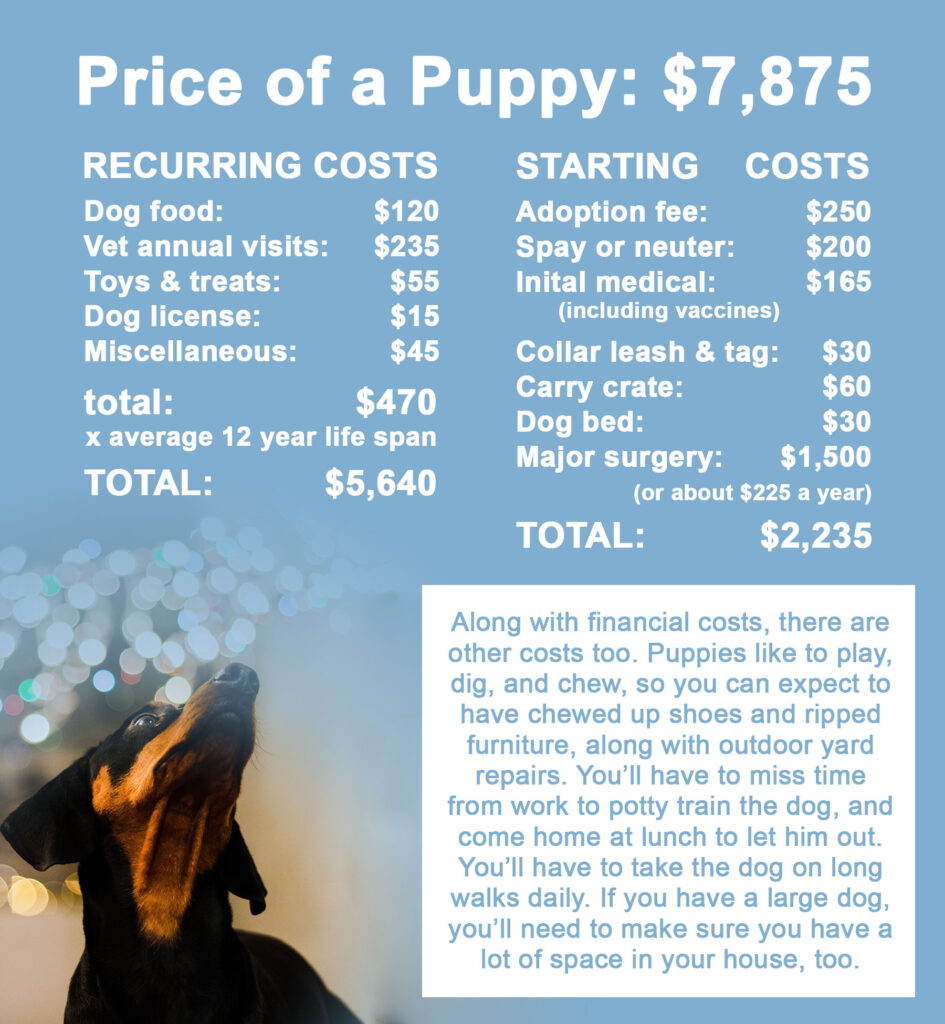 Infographic details of the price of a puppy